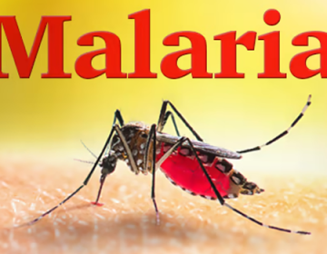 کراچی: 24 گھنٹوں میں ملیریا کے 21 کیسز رپورٹ