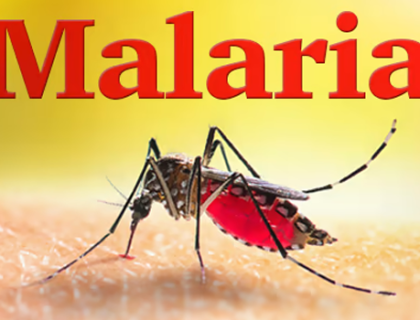 کراچی: 24 گھنٹوں میں ملیریا کے 21 کیسز رپورٹ